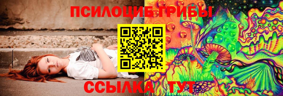 Кимовск  как найти закладки  Вход с VPN  Галлюциногенные грибы Psilocybine cubensis 